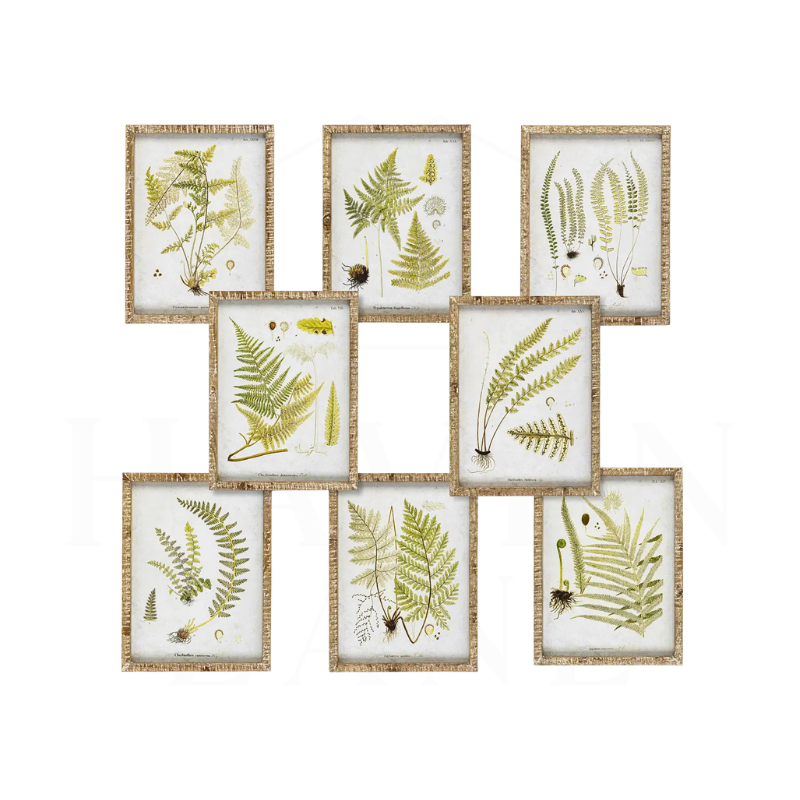 Garden Fern, framed