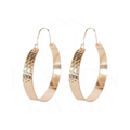 Boston Hoop Earrings