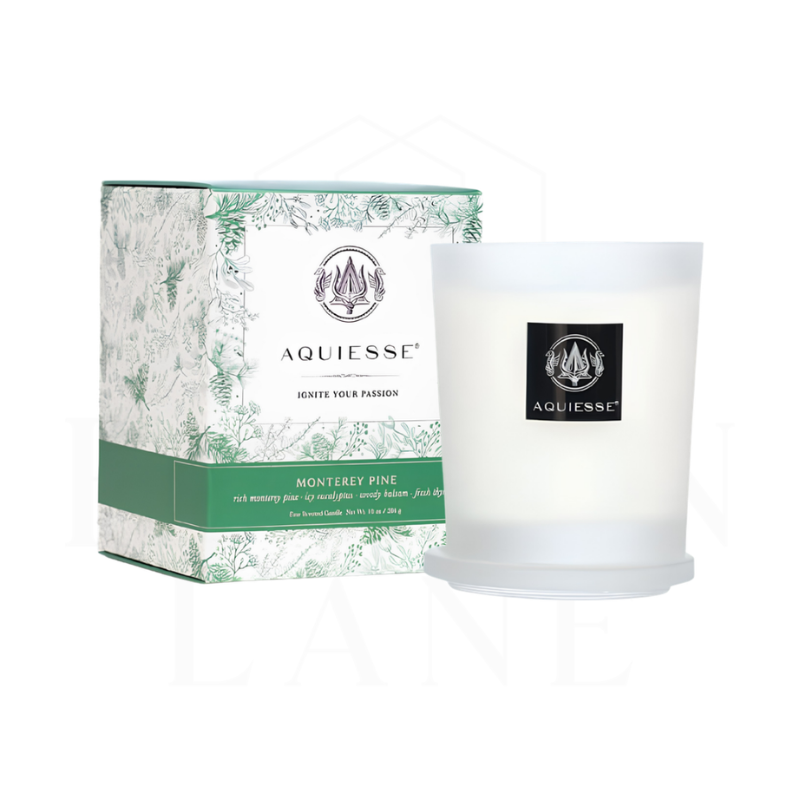 Aquiesse Candle, 10oz